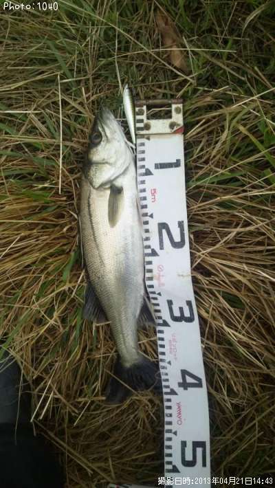 �����Х�