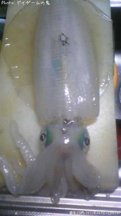 �����ꥤ��