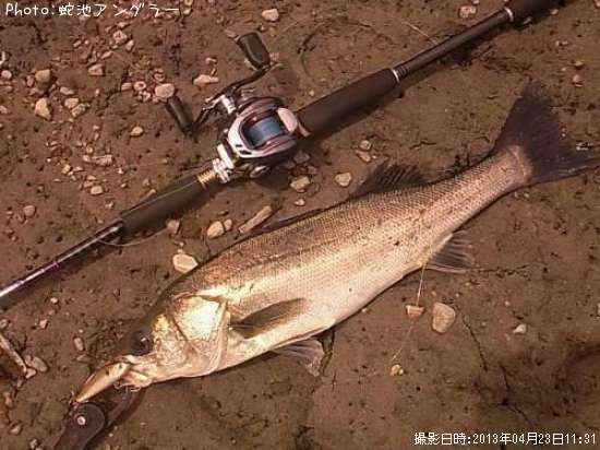 �����Х�