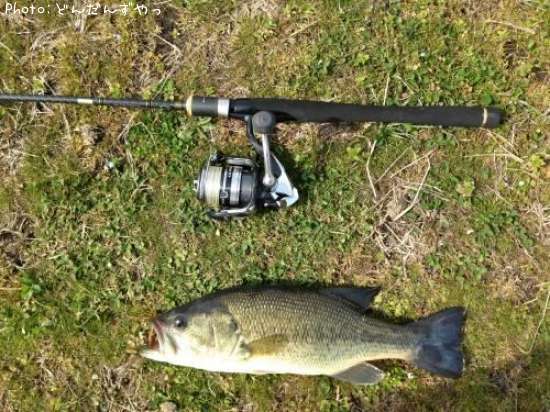 �֥�å��Х�