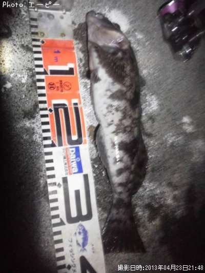 �����ʥ�