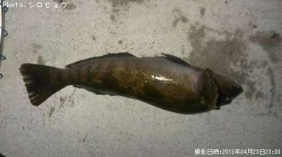 �����ʥ�