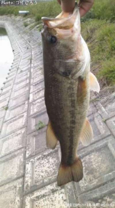 �֥�å��Х�