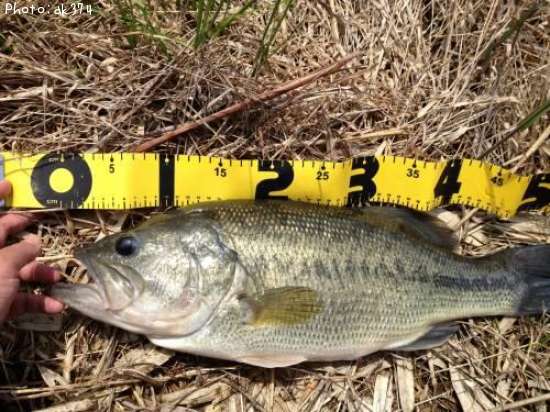 �֥�å��Х�