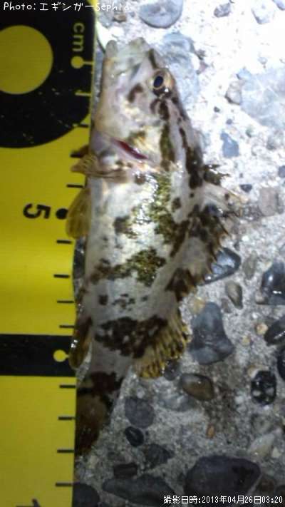 �����Υ���Х�