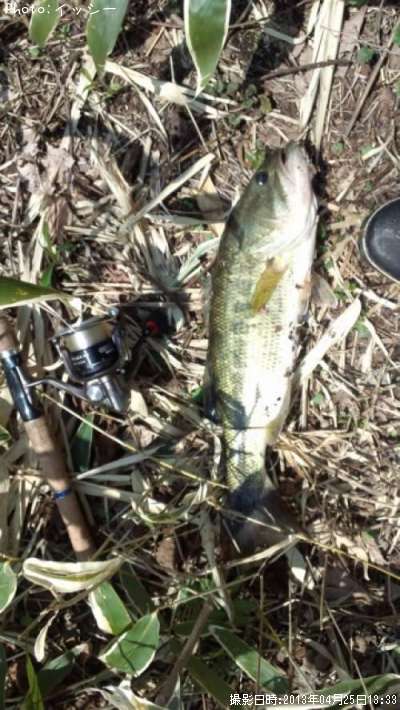 �֥�å��Х�