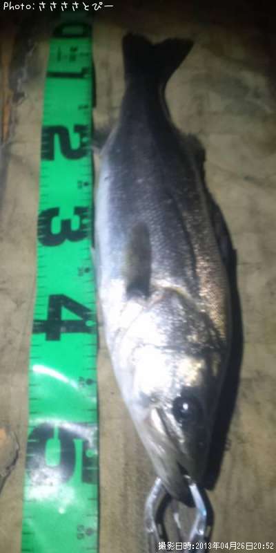 �����Х�