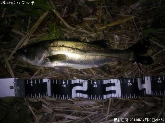 �����Х�