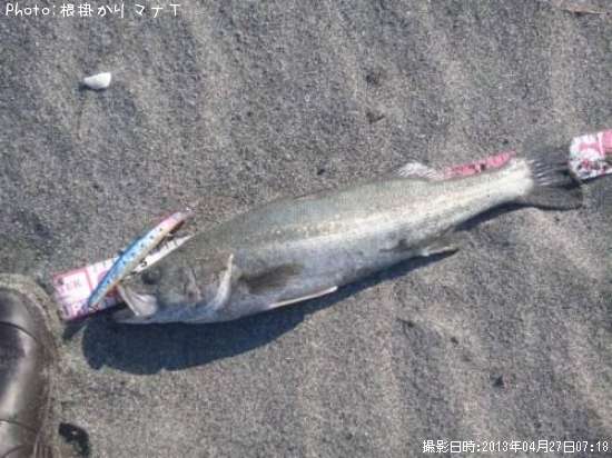 �����Х�