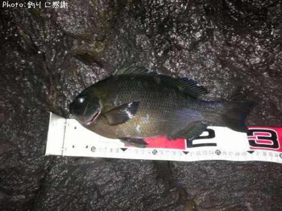 �����᥸��