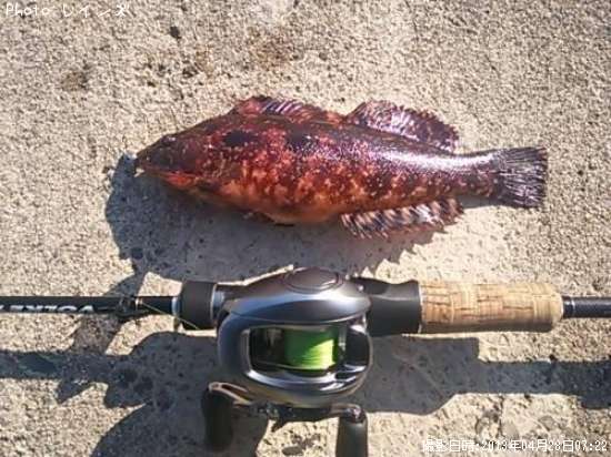 �����ʥ�