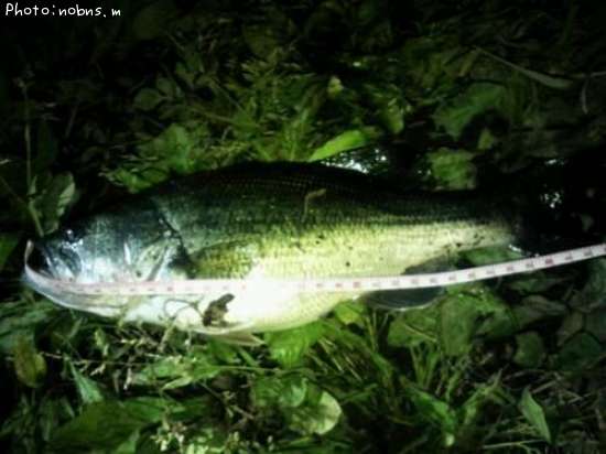 �֥�å��Х�