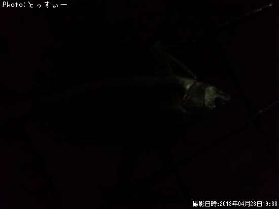 �����Х�