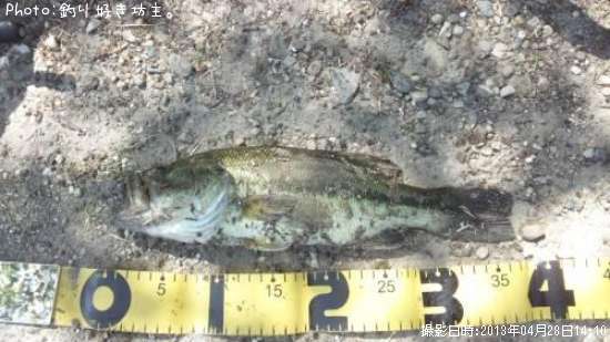 �֥�å��Х�