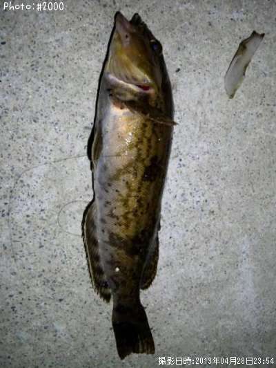 �����ʥ�