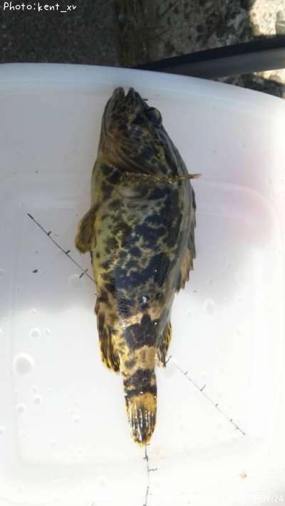 �����Υ���Х�