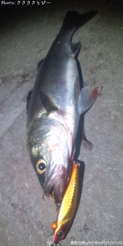 �����Х�