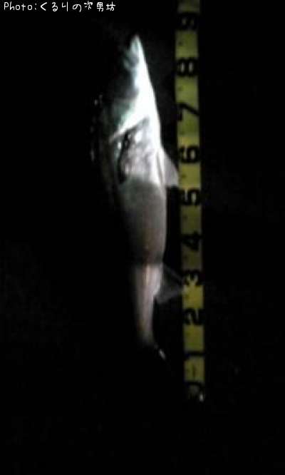 �����Х�