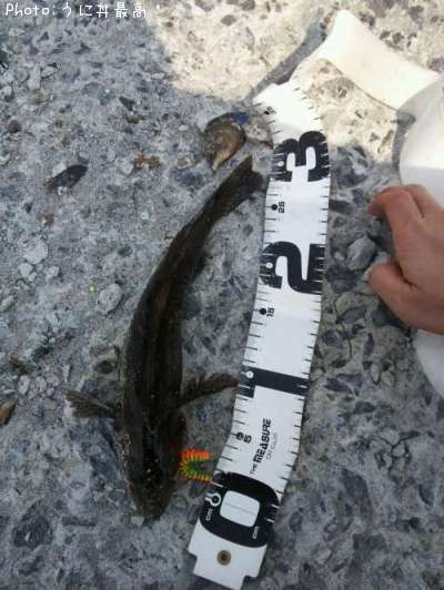 �����ʥ�