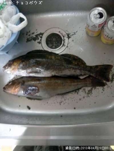 �����ʥ�