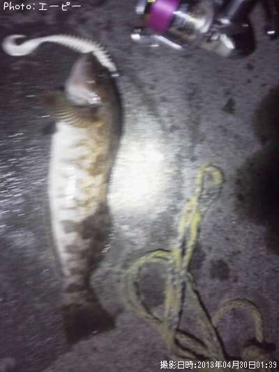 �����ʥ�