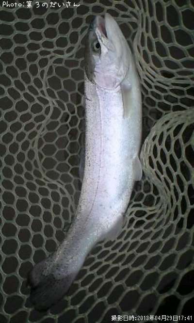 ��������إå�