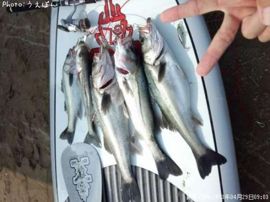 �����Х�