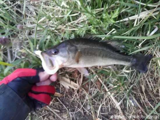 �顼���ޥ���