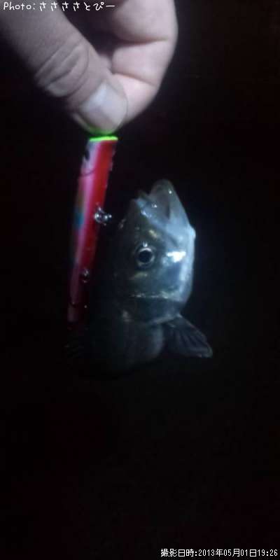 �����Х�