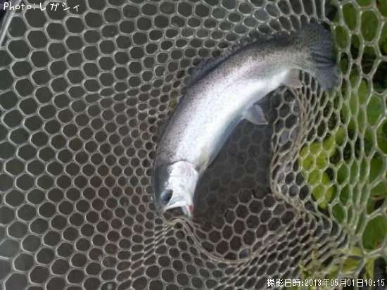 �쥤��ܡ��ȥ饦��