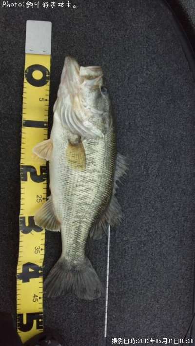 �֥�å��Х�