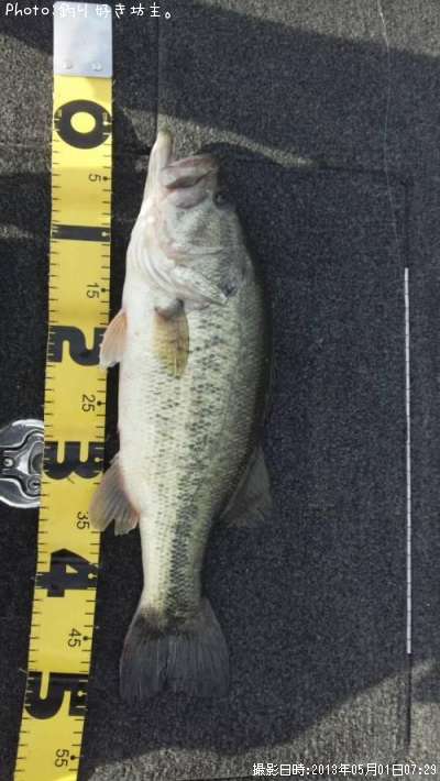 �֥�å��Х�