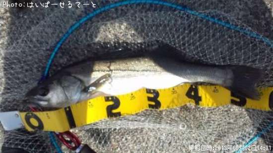 �����Х�