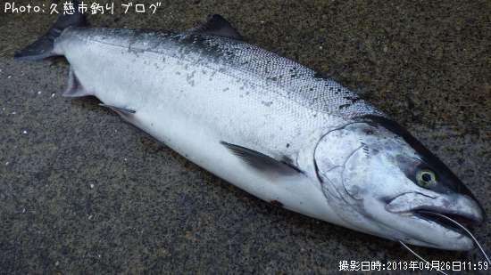 ������ޥ�