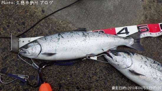 ������ޥ�