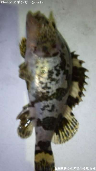 �����Υ���Х�