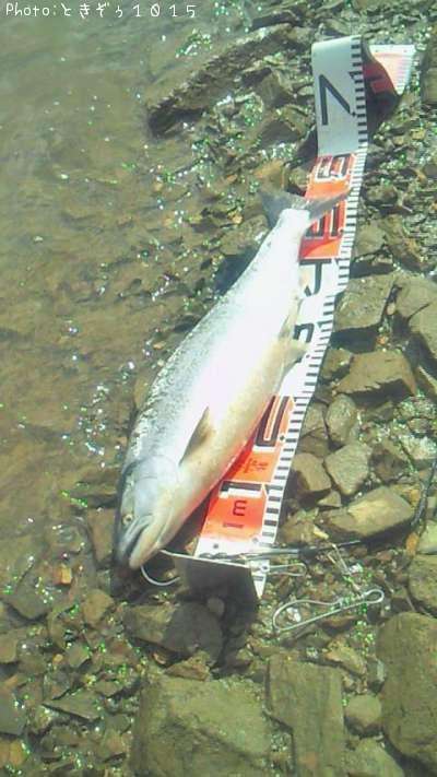 ������ޥ�