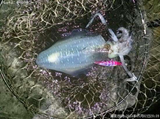 �����ꥤ��