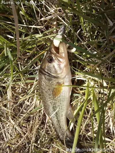 �顼���ޥ���