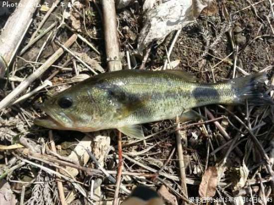 �֥�å��Х�