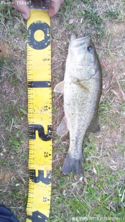 �֥�å��Х�