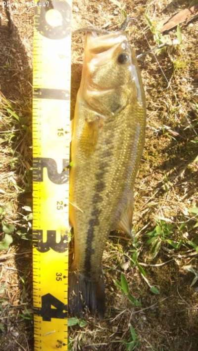 �֥�å��Х�