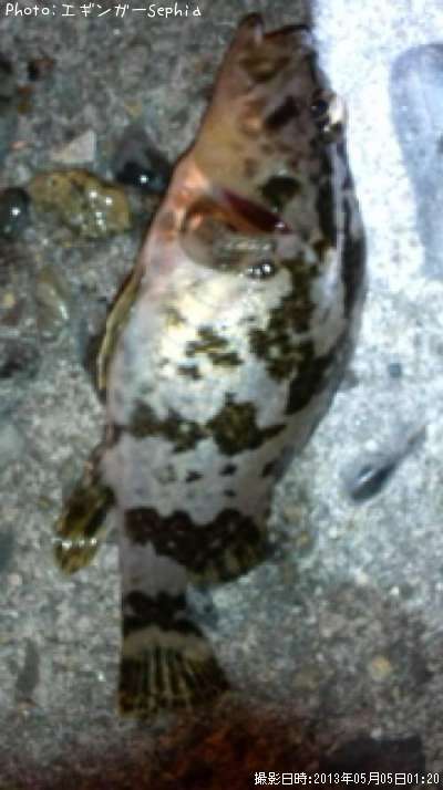 �����Υ���Х�