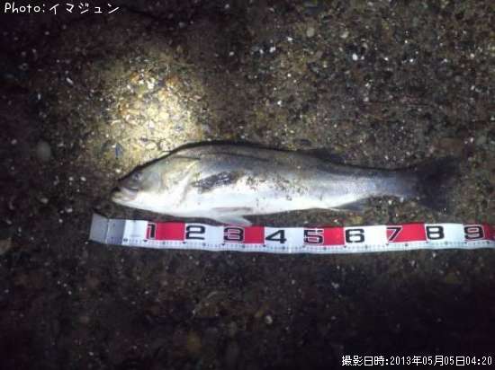 �����Х�