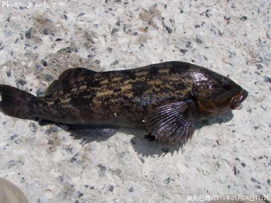 �����ʥ�