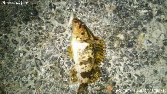 �����Υ���Х�