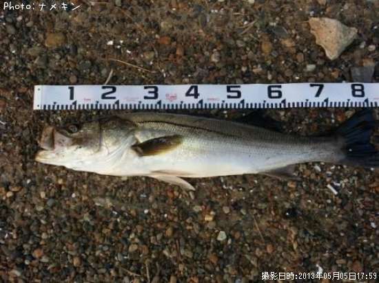 �����Ф�