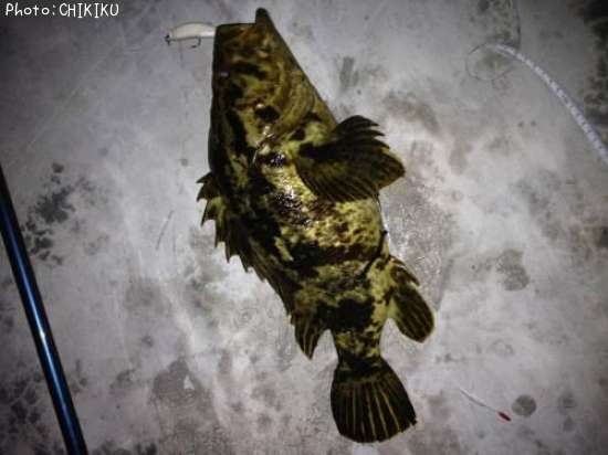 �٥å�������