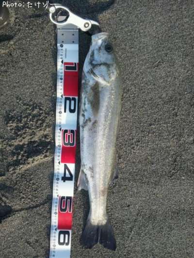 �����Х�