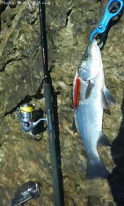 �ҥ饹����